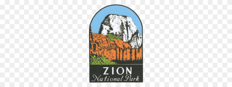 Zion National Park, Wildlife, Mammal, Bear, Animal Free Png