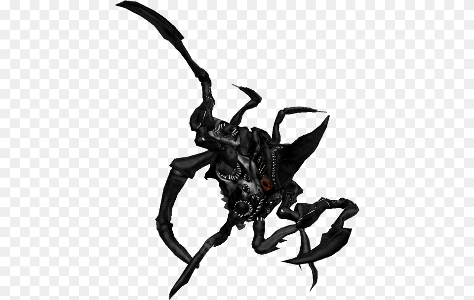 Zip Archive Insect, Person Png Image