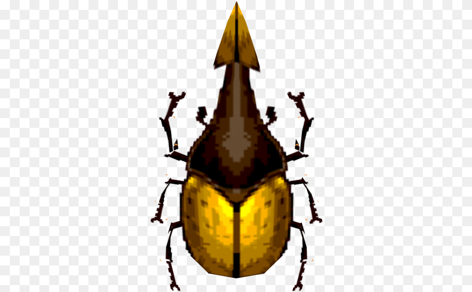 Zip Archive Leaf Beetle, Person Png Image