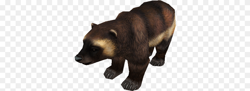 Zip Archive Zoo Tycoon 2 Wolverine, Animal, Bear, Mammal, Wildlife Free Transparent Png