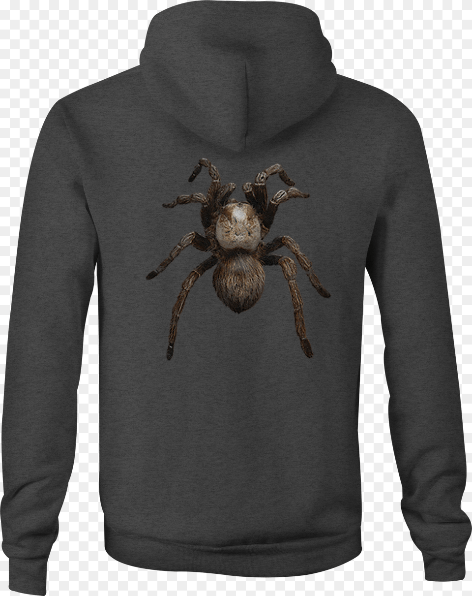 Zip Up Hoodie Spider Tarantula Hooded Sweatshirt Thumbnail Hoodie, Animal, Clothing, Invertebrate, Knitwear Free Png Download
