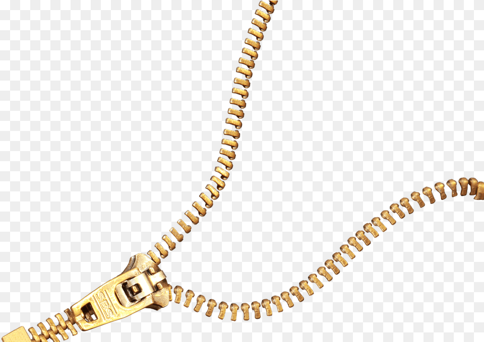 Zipper High Quality Transparent Background Golden Zipper, Accessories, Jewelry, Necklace Png Image