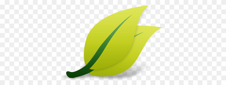 Zk Spring Product Zk, Ball, Green, Leaf, Plant Free Transparent Png