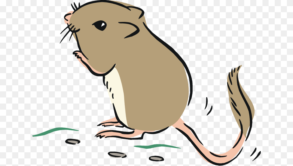 Zodiac Clipart Rat Clip Art Gerbil, Adult, Female, Person, Woman Free Png Download