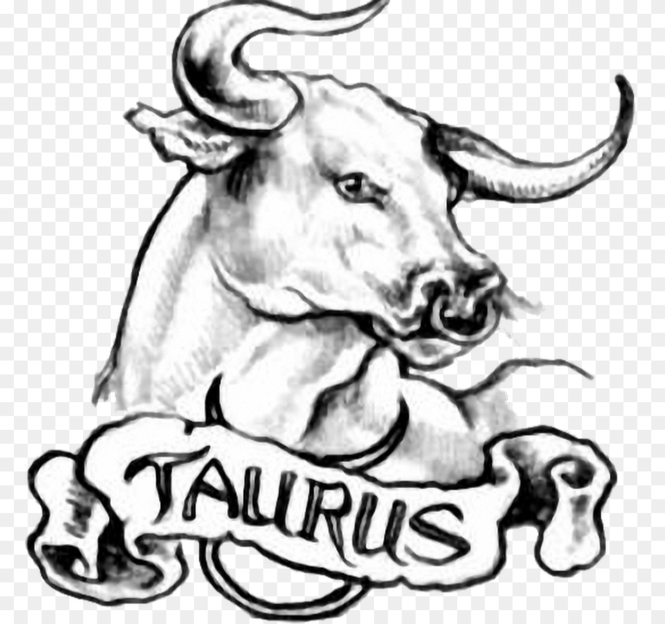 Zodiac Taurus Tattoo Designs And Ideas, Animal, Ox, Mammal, Livestock Free Transparent Png