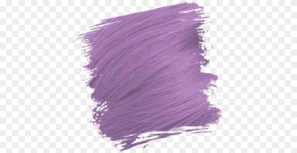 Zoja Uae Lavender, Purple, Flower, Plant Png