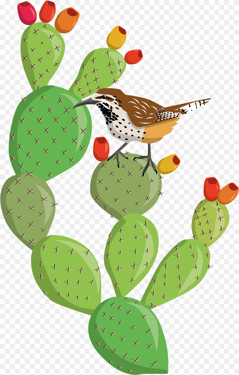 Zolin Studio Prickly Pear Cactus Clipart, Animal, Bird, Wren, Plant Free Transparent Png