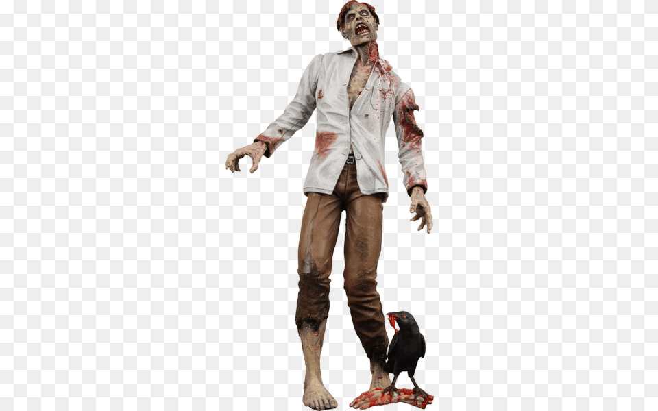 Zombie, Adult, Man, Male, Costume Free Png