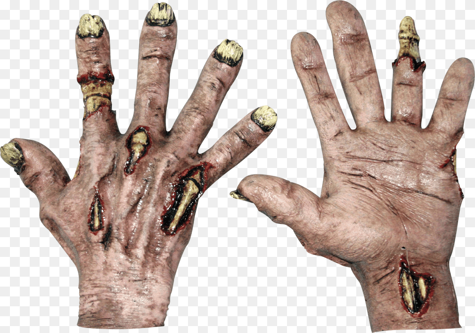 Zombie Hands, Body Part, Finger, Hand, Person Png Image