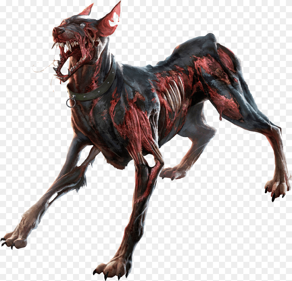 Zombie Picture Zombie Dog, Animal, Dinosaur, Reptile, Accessories Png Image