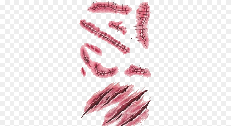 Zombie Scars Scars Overlay, Food, Meat, Pork, Bacon Free Png