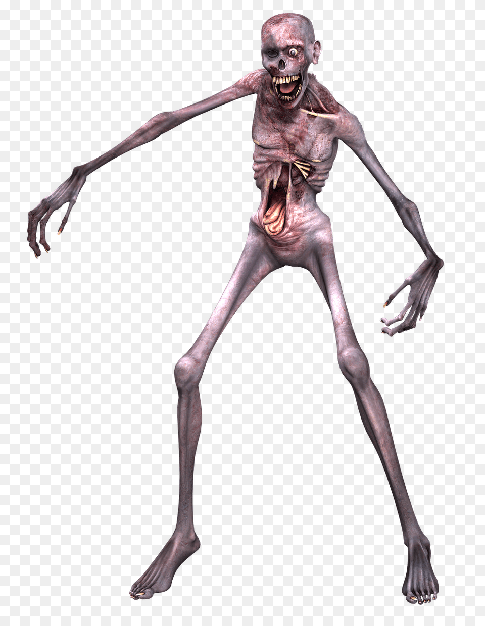 Zombie Skeleton, Alien, Adult, Male, Man Png