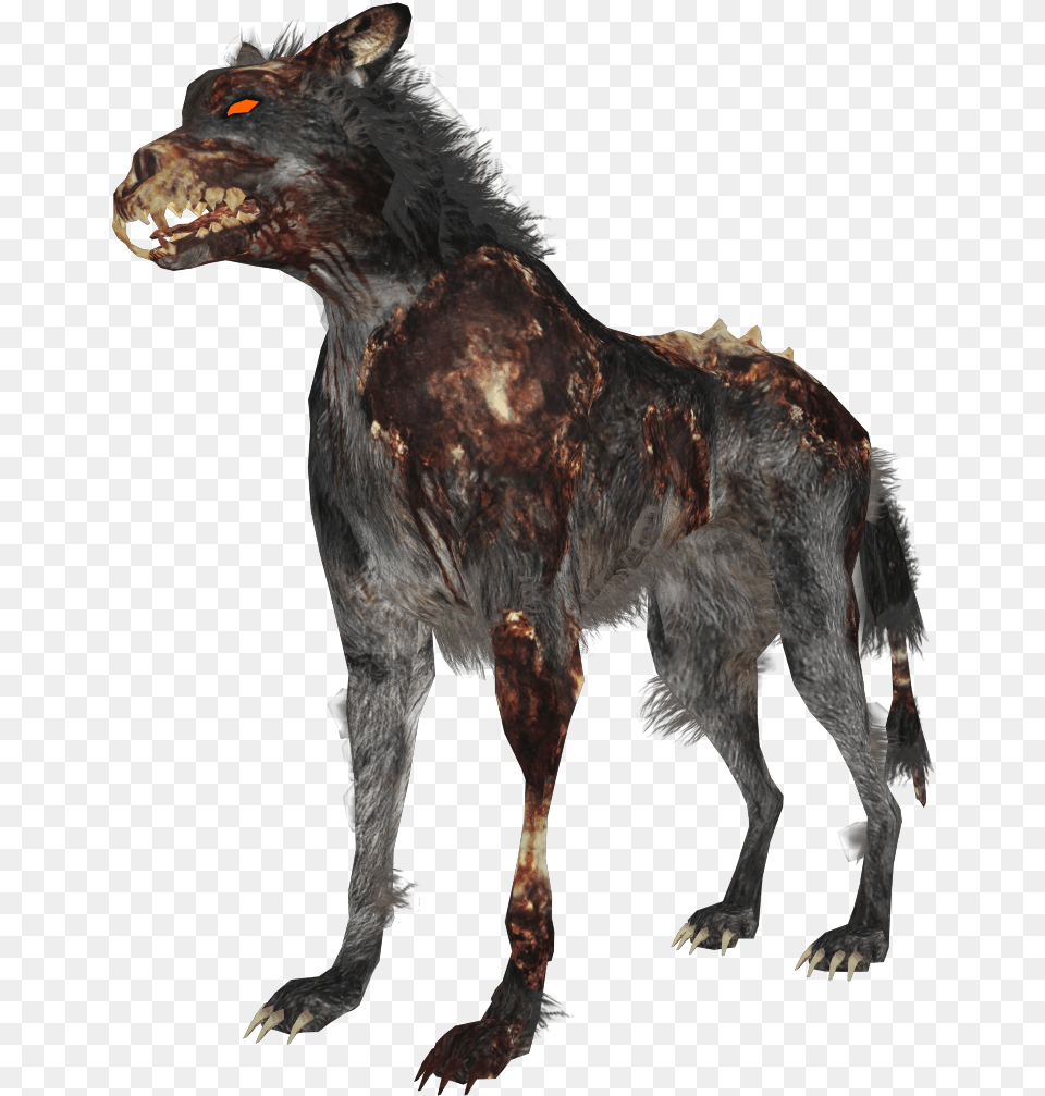 Zombie Wolf Zps4bf8a59d Black Ops 1 Hellhounds, Animal, Dinosaur, Reptile, Mammal Free Png