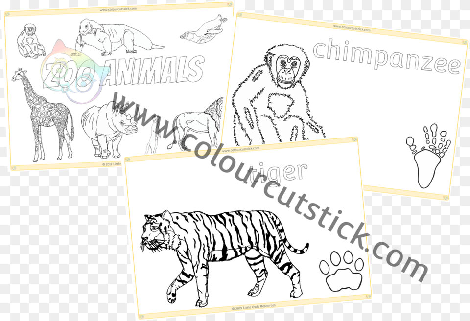 Zoo Animal Colouring Cover Cartoon, Monkey, Mammal, Wildlife, Tiger Png Image