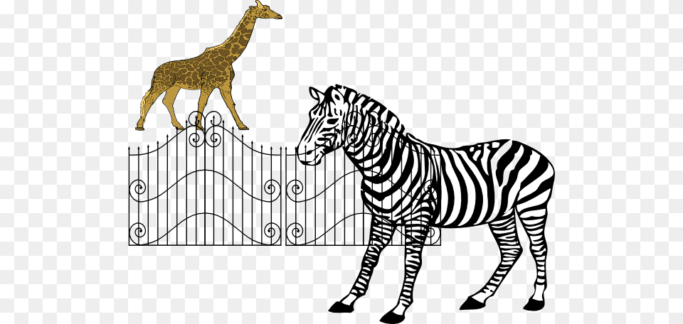 Zoo Animals Clip Art, Animal, Mammal, Wildlife, Zebra Png