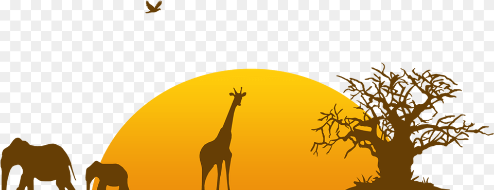 Zoo Background Arts Zoo Background, Savanna, Field, Outdoors, Grassland Free Png Download