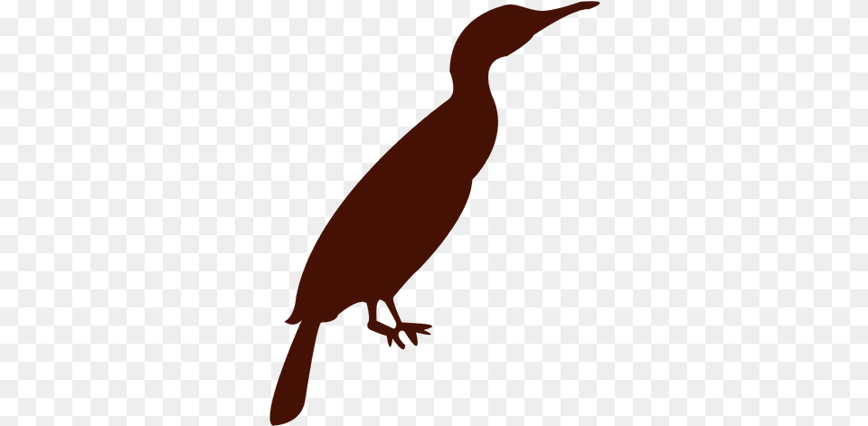 Zoo Bird Silhouette U0026 Svg Vector File Penguin, Animal, Beak, Person, Waterfowl Png Image