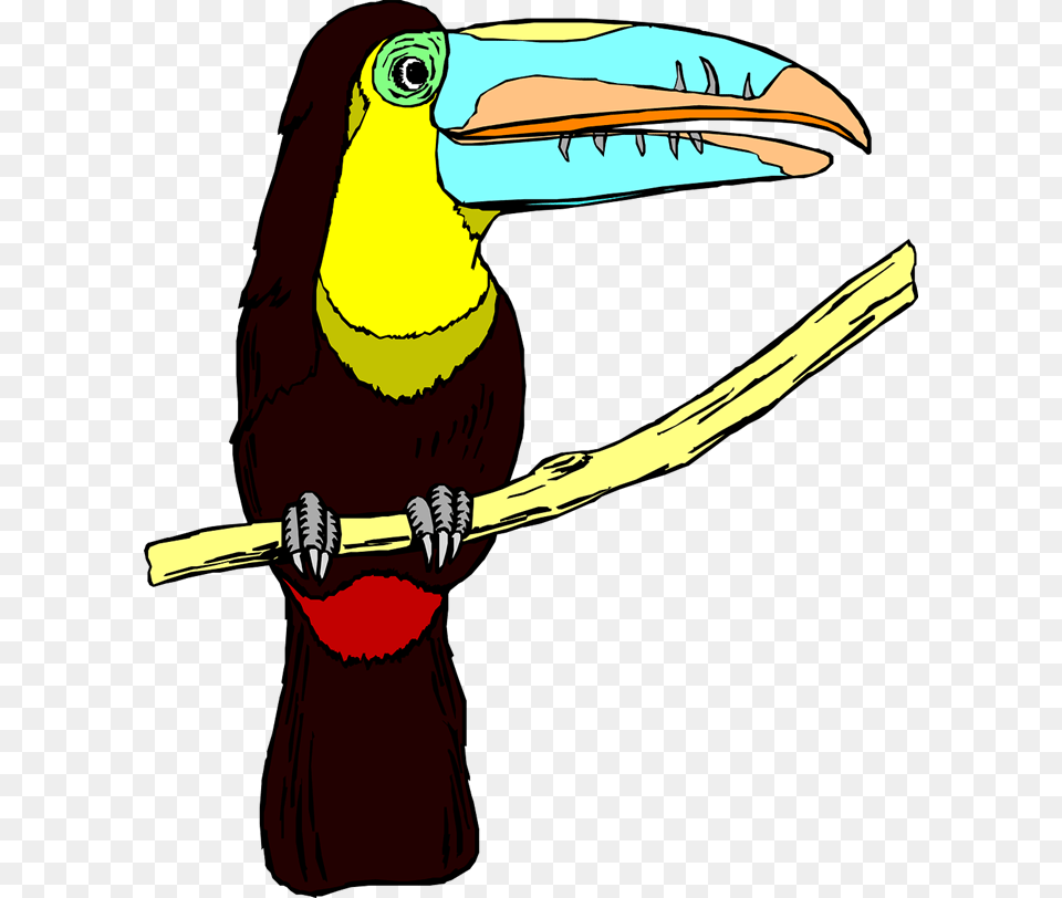 Zoo Clip Art, Animal, Beak, Bird, Toucan Free Transparent Png