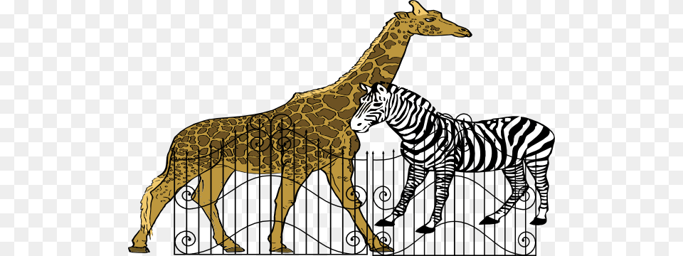 Zoo Clip Art, Animal, Mammal, Wildlife, Zebra Free Png