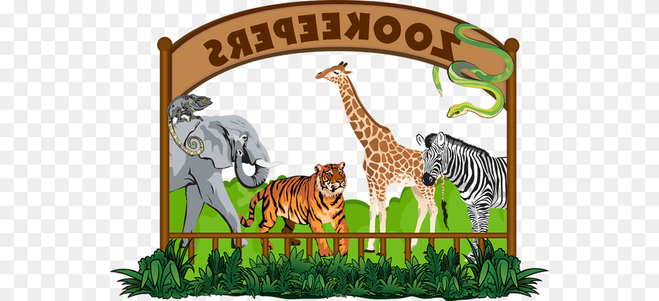 Zoo Clipart 2 Image Giraffe, Animal, Mammal, Tiger, Wildlife Free Transparent Png