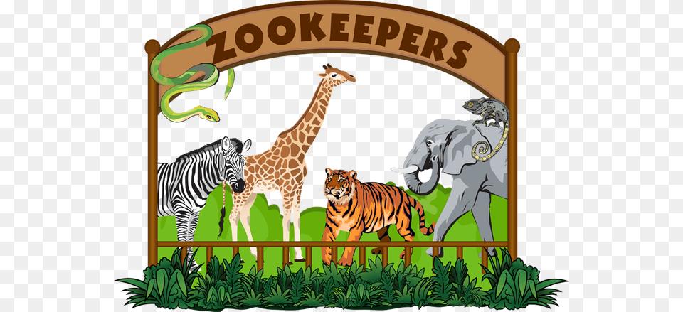 Zoo Clipart 2 Image Zoo, Animal, Mammal, Wildlife, Zebra Free Png Download