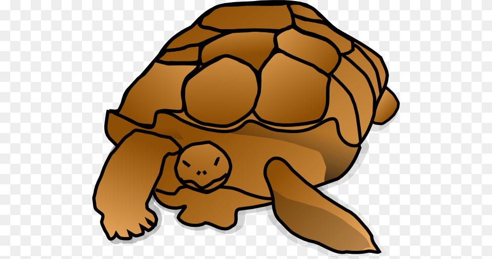 Zoo Sea Turtle Clipart Explore Pictures, Animal, Reptile, Sea Life, Tortoise Free Png