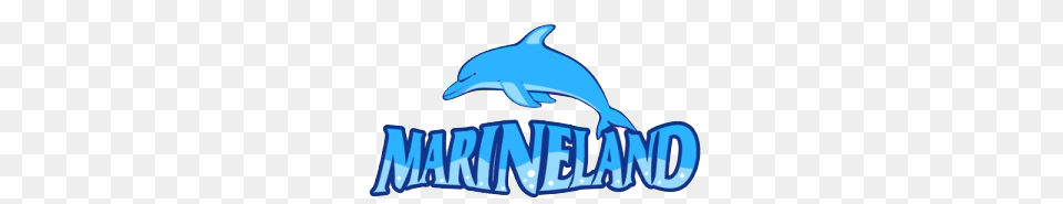 Zoo Sign Clipart Clipart, Animal, Dolphin, Mammal, Sea Life Free Png
