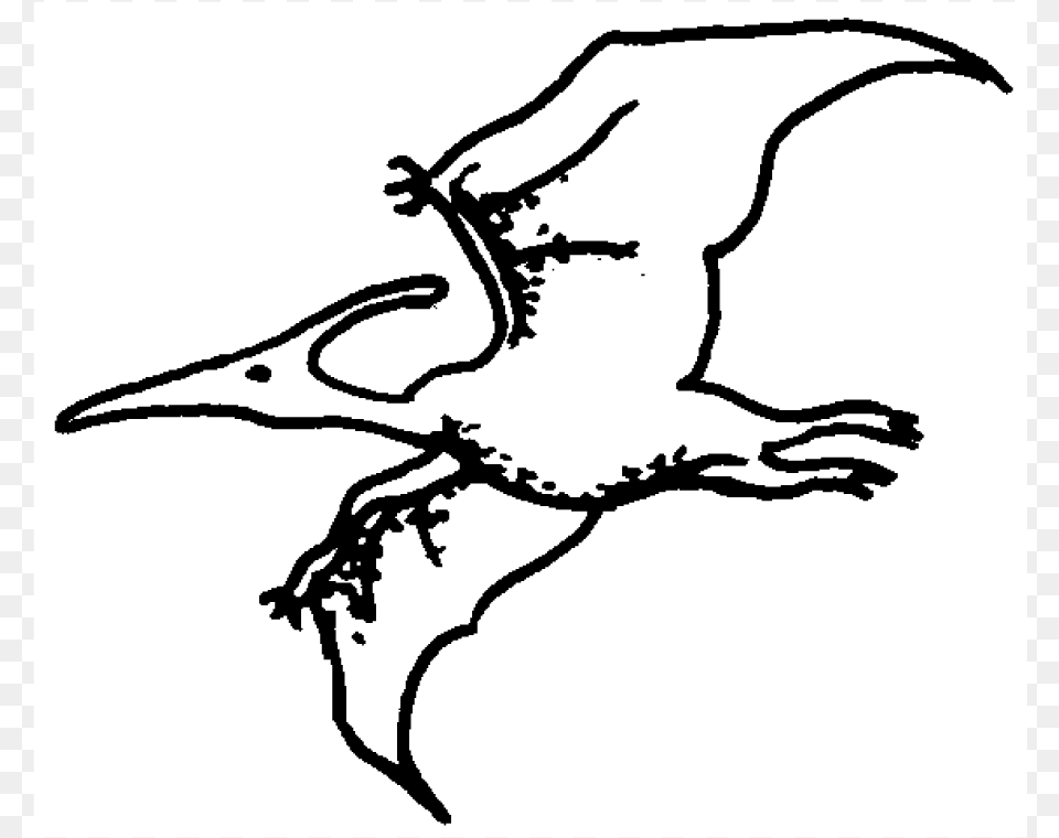 Zoom Pterodactyl Rubber Stamp Sketch, Animal, Bird, Waterfowl Png