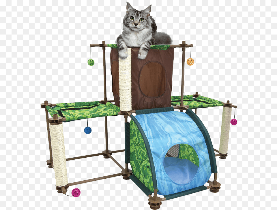 Zoombezi Logo Domestic Short Haired Cat, Indoors, Play Area, Den, Animal Png Image