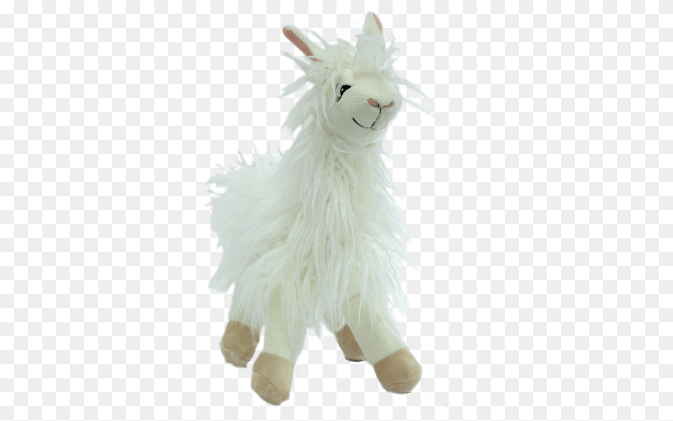 Zootique Woolly Llama White Royeru0027s Flowers And Gifts Llama Stuffed Animal Transparent, Plush, Toy, Angora, Cat Free Png Download