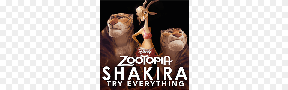Zootopia New Song Try Everything By Shakira Try Everything Shakira, Adult, Wedding, Person, Woman Png