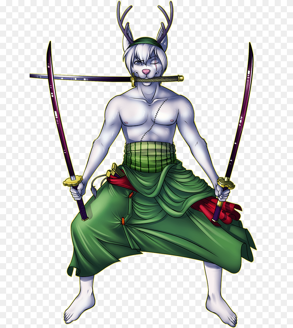 Zoro Illustration, Adult, Female, Person, Woman Free Transparent Png