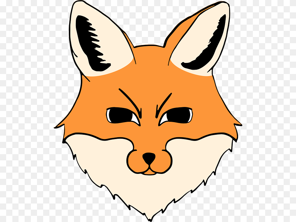 Zorro Cabeza Animal Vector Ilustracin Fox Head Clipart, Person, Mammal, Wildlife, Baby Free Transparent Png