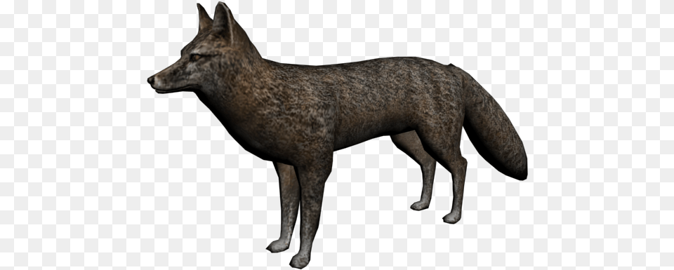Zorro Red Dead Redemption, Animal, Coyote, Mammal, Canine Free Transparent Png