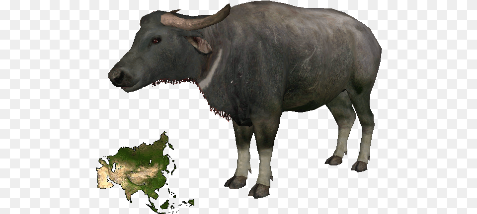 Zt2 Water Buffalo Hd Uokplrs Portable Network Graphics, Animal, Bull, Cattle, Cow Free Png