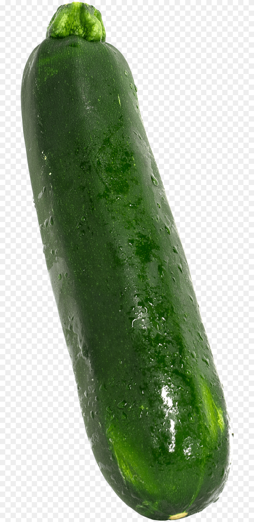 Zucchini 1 Lb Cucumber, Food, Produce, Plant, Vegetable Png