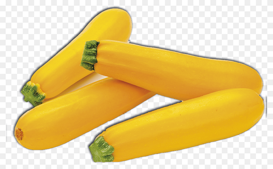 Zucchini, Food, Plant, Produce, Squash Free Png