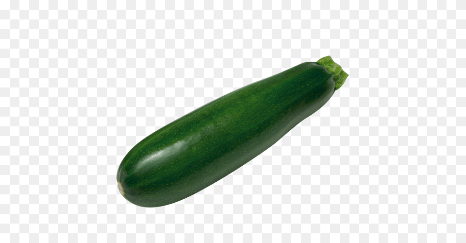 Zucchini, Food, Plant, Produce, Squash Free Transparent Png