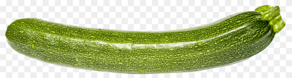 Zucchini, Food, Plant, Produce, Squash Free Transparent Png