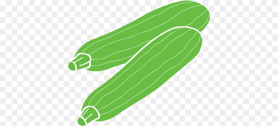 Zucchini, Food, Produce, Plant, Squash Free Png
