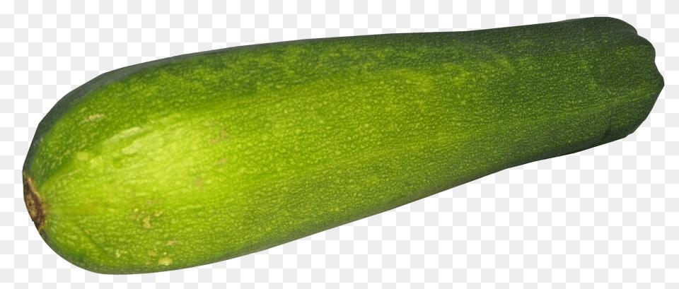 Zucchini, Food, Plant, Produce, Squash Png Image