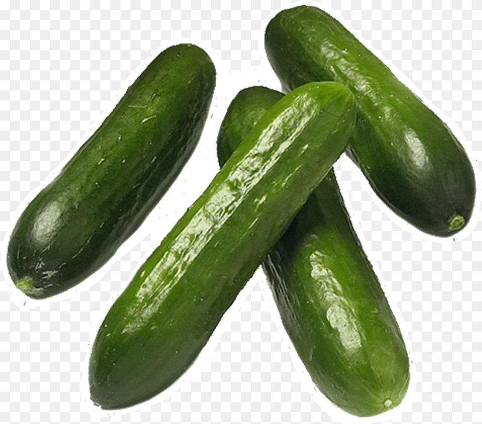Zucchini, Cucumber, Food, Plant, Produce Free Png Download