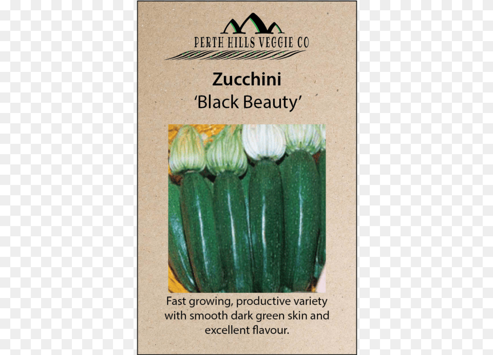 Zucchini 39black Beauty39 Bavicchi Zucchino Nano Verde Di Milano Squash Black, Food, Plant, Produce, Vegetable Free Png Download