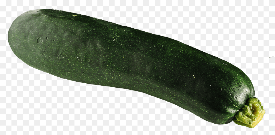 Zucchini, Food, Plant, Produce, Squash Png Image