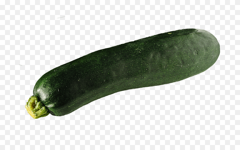 Zucchini Food, Plant, Produce, Squash Free Png Download
