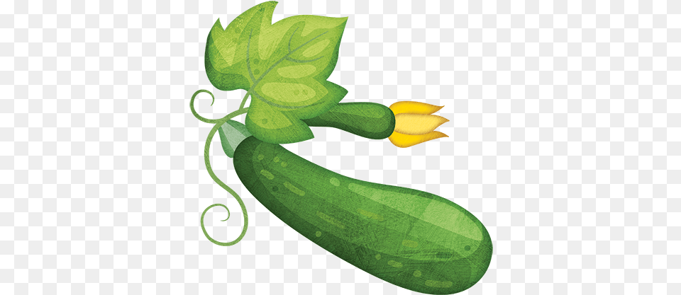 Zucchini Clipart Zucchini Clipart, Food, Produce, Cucumber, Plant Png Image