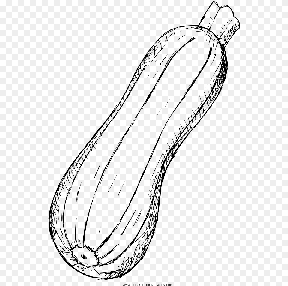 Zucchini Coloring Page, Gray Free Png