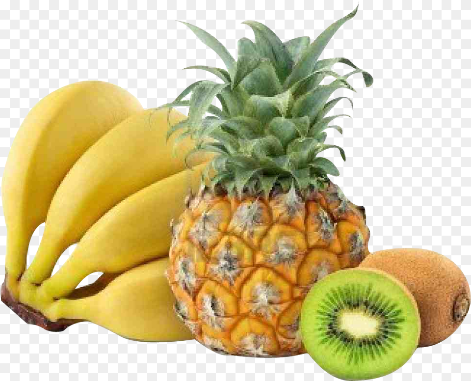 Zululand Queen Pineapple, Food, Fruit, Plant, Produce Png